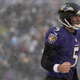 Illustration for article titled Joe Flacco Bought A Mega Millions Ticket At 7-11